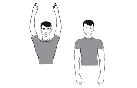 Shoulder joint is the most mobile joint of the human body. Best Seated Exercises Slideshow The Active Times