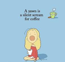 See more ideas about tuesday quotes good morning, tuesday quotes, happy tuesday. Funny Good Morning Quotes To Start The Perfect Day The Complete Collection Bayart