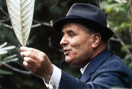 Temperate Rhododendrons Volume 1