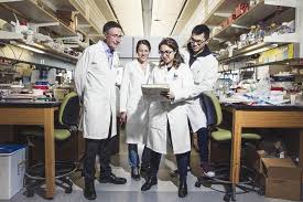 The five nominees who receive the most votes will count as one of the 54 votes cast by the voting panel on nascar hall of fame voting day on may 24. Usc Stem Cell Study Identifies Molecular Switch That Turns Precursors Into Kidney Cells Eurekalert Science News