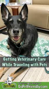 We also provide medical specialty care via our specialist network, concentra advanced specialists (cas). Getting Veterinary Care While Traveling With Pets Tips From The Experts