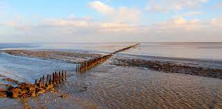 Conquer the spectacular wadden sea on a running relay adventure! Klassewasser De Das Wattenmeer Jugendliche