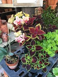Nursery — bbno$ ft lentra. Weatherbee Nursery Home Facebook