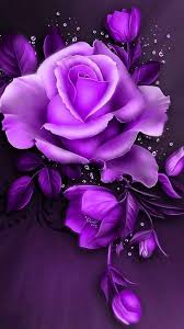 Maybe you would like to learn more about one of these? 15 Ide Mawar Ungu Mawar Ungu Ungu Mawar