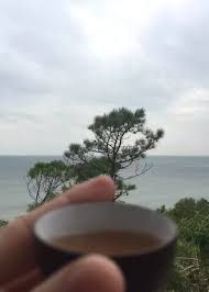 青天白日 土磚灰瓦 燕子飛過 山上人家 劍已鏽 一盞燈為你把琴擦 誰陪你喝茶 扇舞丹青 卻起風沙 茶已微涼 輪回冬夏 人已老 一柱香為你把眉畫 還是那盞茶 誰的手放進水墨 撈起一枚茶 把下午的山水 染出淡雅 草屋前 棋子落定 也落盡了繁華 喝茶的