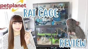 How I Clean My Rat Cage - Youtube