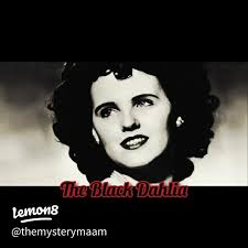 Black Dahlia and Purple Butterfly🦋