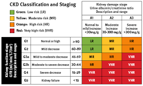 Chronic Kidney Disease Classification Staging Chronic