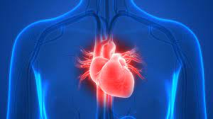 The cause is an inflammation of the heart muscle, most often following a viral infection. Evolution Favorable D Une Myocardite Grave Traitee Sous Abatacept Chez Une Patiente Qui Souffrait D Effets Secondaires Graves Lies A L Immunotherapie Anti Cancer Et Qui Ne Repondait Pas Au Traitement Habituel Par Corticoides Aphp