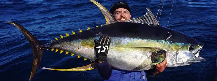 How to Catch Yellowfin Tuna: a complete guide – Daiwa Australia