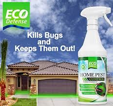 What do you do after they've sprayed and gone? Pin On Top 10 Reviews
