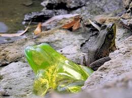 The uranium emits alpha particles and neutrons. Radioactive Frog Climate Change Toxic Waste Nuclear Disaster Alien Friend Uranium Glass Pikist