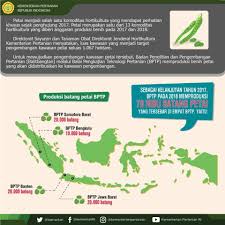 Menurutnya, percepatan kur penting dilakukan untuk meningkatkan produktivitas pangan lokal serta mendorong pertumbuhan ekonomi nasional. Met Pagi Kementerian Pertanian Republik Indonesia Facebook