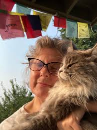 Hi I'm Mike and live in South Devon . I've recently lost my 17 year old and  was thinking that it would be nice to home a kitten or cat. There are