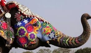 India Search On Indulgy Com Indian Elephant Elephant Painting Elephant Art