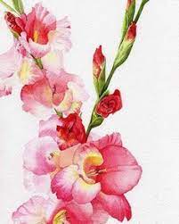 Check spelling or type a new query. 41 Paintings Of Gladiolus Ideas Gladiolus Flower Art Flower Painting