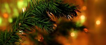 Besides, does aspirin keep a christmas tree fresh? Top Tips On Caring For Your Christmas Tree International Timber