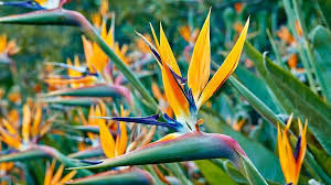 Pin Auf Urlaubs Reisefuhrer