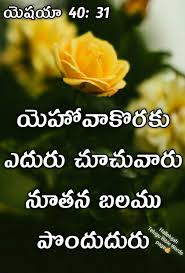 We did not find results for: Hallelujah Telugu Bible Words Facebook