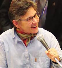 FMR Annual Report 2017