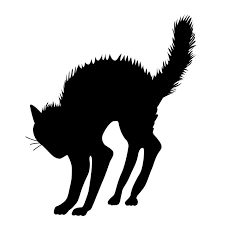Scary Halloween Black Cat Silhouette Tote Bag Inspiration Pintere Black Cat Halloween Halloween Silhouettes Halloween Cat