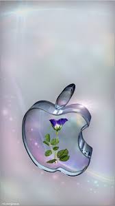 Rose In Glass Apple Apple Iphone 5s Hd Wallpapers Available For Free Download Apple Wallpaper Apple Logo Wallpaper Iphone Apple Iphone Wallpaper Hd