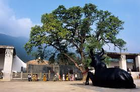 Isha Yoga Center India Coimbatore