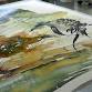 Discover New Watercolour Techniques With Artist... event in Coleraine VIC