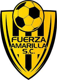 Fuerza Amarilla Sc Of Ecuador Crest Futebol Equador Esportes
