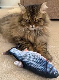 Dancing Fish Cat Kicker Toy Realistic Moves In 2020 Cats Cat Toys Fish Cat Toy