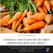 Pin Von Crocandiz Auf Les Supers Aliments Pour Les Chiens In 2020