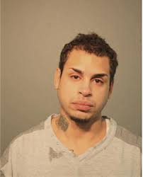 ᐅ Illinois Criminal Records 2009-2026