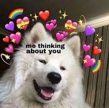 Download Dog Love Meme Hearts Png Gif Base Smile dog memes gifs imgflip. download dog love meme hearts png