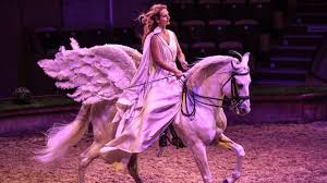 If you are originally a travel tripper customer using reztrip crs (now pegasus crs), please use the following support lines, or fill out the form on this page. David Harris Pegasus Mail Lebt Noch Golem De