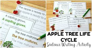 The life cycle of an apple tree, starting with a seed, then a tree, flowers and finally fruit.music: Apple Tree Life Cycle Sentence Writing Activity Look We Re Learning