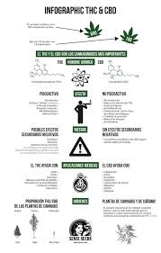 Un tch la lima es una lima de documento asociado con el ide borland c++. Que Es El Cannabidiol Cbd Y Como Se Usa En La Medicina Sensi Seeds