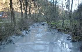 Centrul de transfuzie sanguină alba face un apel către cetățenii județului, pentru a dona de urgență sânge, în special cei… continuă activitățile inspectoratului de poliție județean alba în vederea verificării modului în care se respectă prevederile legii nr 55 din… Galerie Foto Poluare MasivÄ Cu Steril A Raului Aries Peste 70 De ReclamaÅ£ii Depuse La Garda NaÅ£ionalÄ De Mediu