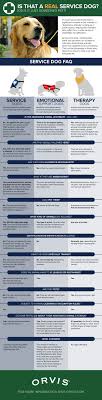 This Awesome Highlights The Differences Between A Service Dog Emotional Support Dog And Therapy Dog Service Dogs Therapy Dogs Emotional Support Dog