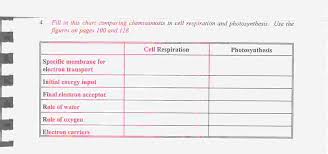 Comparing Chemiosmosis In Cell Respiration Photosynthesis