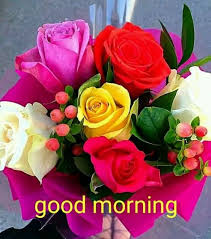 Grup de mai multe cuvinte care nu sunt suficient sudate cât să formeze o locuțiune. Buna Dimineata O Zi Frumoasa Va Doresc Si Un Weekend Placut Good Morning Flowers Good Morning Picture Morning Pictures