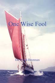 How to say wise in malay? One Wise Fool Brennan Dr Hugh 9781785109942 Amazon Com Books