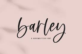 Your role is to assist the store manager in day to day operations and process. Barley A Handwritten Script Font 545710 Handwritten Font Bundles