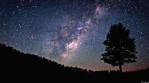 Galaxy Wallpaper Forest Landscape And Tree With Sky Full Of Stars In The Background Galaxy Galaxy Wallpaper Cool Galaxy Wallpapers Galaxy Images