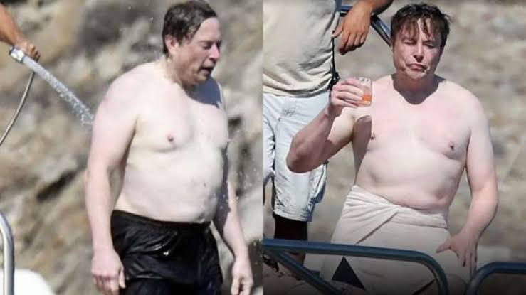 Elon Musk Gets Trolled on Twitter Over Shirtless Pics From Greece Vacation.  Here