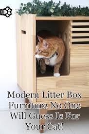 Once i noticed the pet contest i. Cool Cat Tree Plans Cat Trees Furniture Toys For Happy Healthy Cats