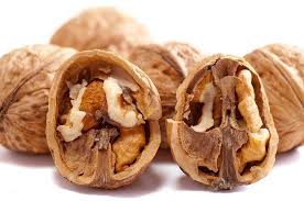 Can Cats Eat Walnuts What You Need To Know Excitedcats