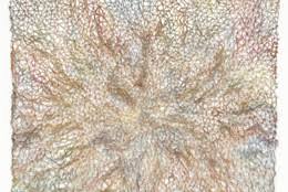 Bildergebnis für Yvonne Koolmatrie