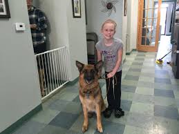 We did not find results for: Casimir German Shepherds