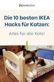 Die 10 Besten Ikea Hacks Fur Katzen Alles Fur Die Katz In 2020 Ikea Hacks Ikea Besten Ikea Hacks