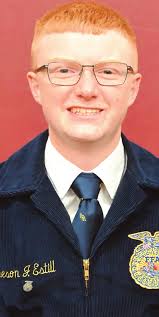 Wayne Layout Template